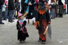 2010_umzug_8_20100213_1546938465