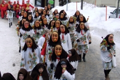 2010_umzug_8_20100213_1722718485