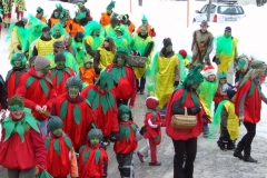 2010_umzug_8_20100213_1750937455