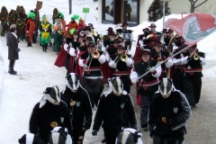 2010_umzug_8_20100213_1817727442