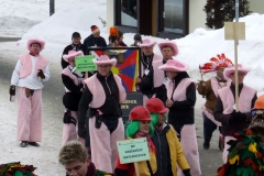 2010_umzug_8_20100213_1991128328