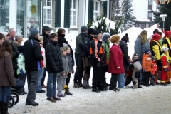 2010_umzug_9_20100213_1020424453