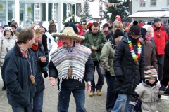 2010_umzug_9_20100213_1165827387