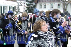 2010_umzug_9_20100213_1214224334