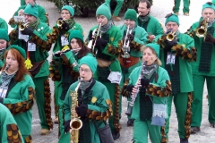 2010_umzug_9_20100213_1464197106