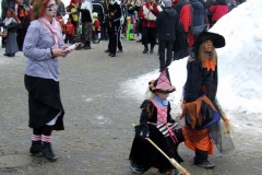 2010_umzug_9_20100213_1562352023