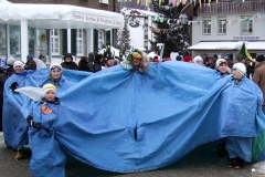2010_umzug_9_20100213_1865723152