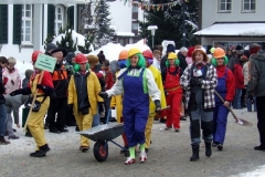 2010_umzug_9_20100213_1866233790