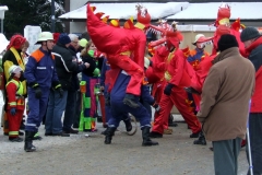 2010_umzug_9_20100213_2084176358