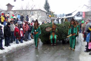 14.02.2010 50 Jahre Hüsemer Hase - Umzug