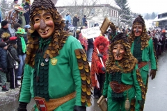 2010_50_jahre_hase_16_20100214_1416818689
