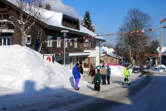 hoechenschwand_tannenzaepfle_faehnle_16_20120204_1926019390