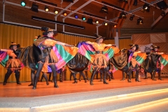2012_zunftabend_hoechenschwand_19_20120212_1810232780