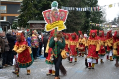 2014_umzug_hoechenschwand_16_20140302_1955899723