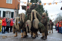 2014_umzug_hoechenschwand_1_20140302_1062694989