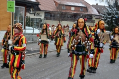 2014_umzug_hoechenschwand_2_20140302_1230934009