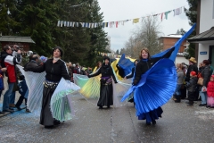 2014_umzug_hoechenschwand_3_20140302_1341534888