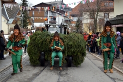 2014_umzug_hoechenschwand_3_20140302_1636609475