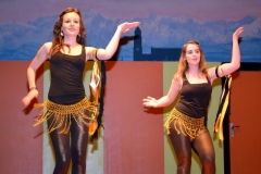 2014_zunftabend_hoechenschwand_11_20140223_1048629402