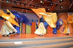 2014_zunftabend_hoechenschwand_2_20140223_1717638486