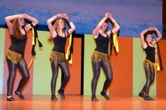 2014_zunftabend_hoechenschwand_8_20140223_1025058605
