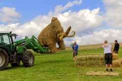 2015_strohskulpturen_aufbau_7_20150909_1467295310