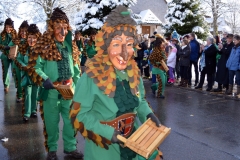 2015_umzug_bernau_1_20150120_1324624433