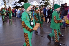 2015_umzug_bernau_1_20150120_1560659105