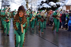 2015_umzug_bernau_3_20150120_1503961817