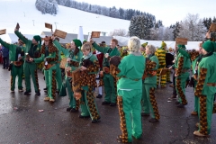 2015_umzug_bernau_4_20150120_1810446110