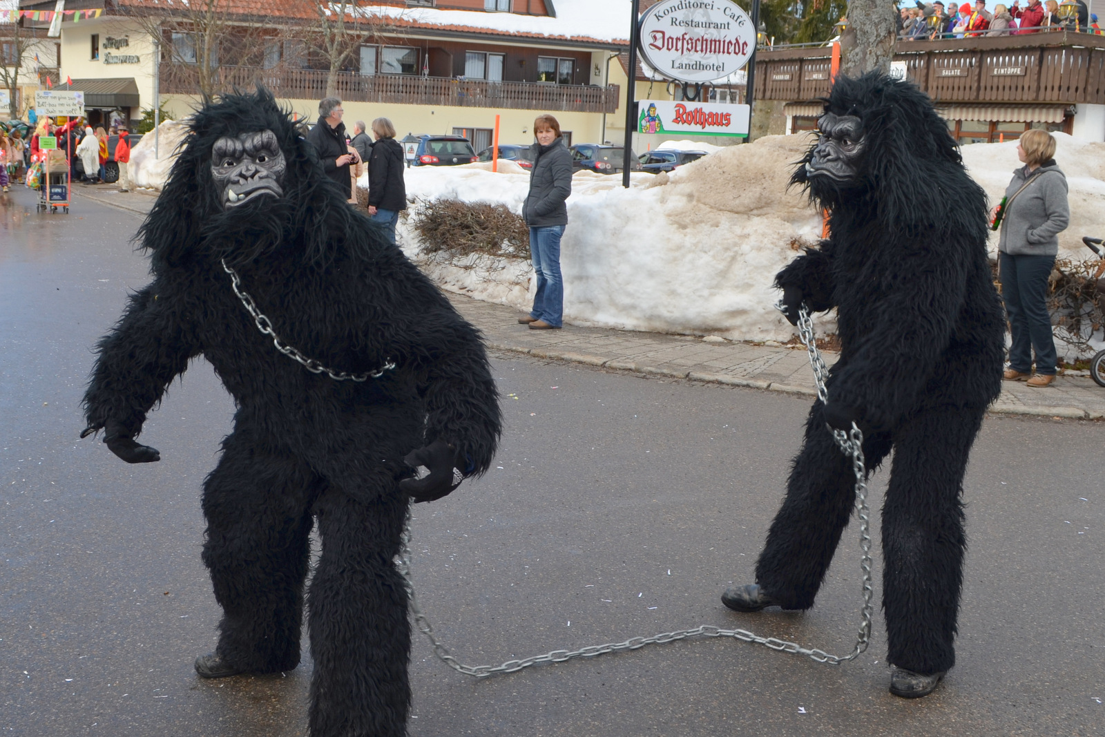 2015_umzug_teil_1_13_20150215_1707529228