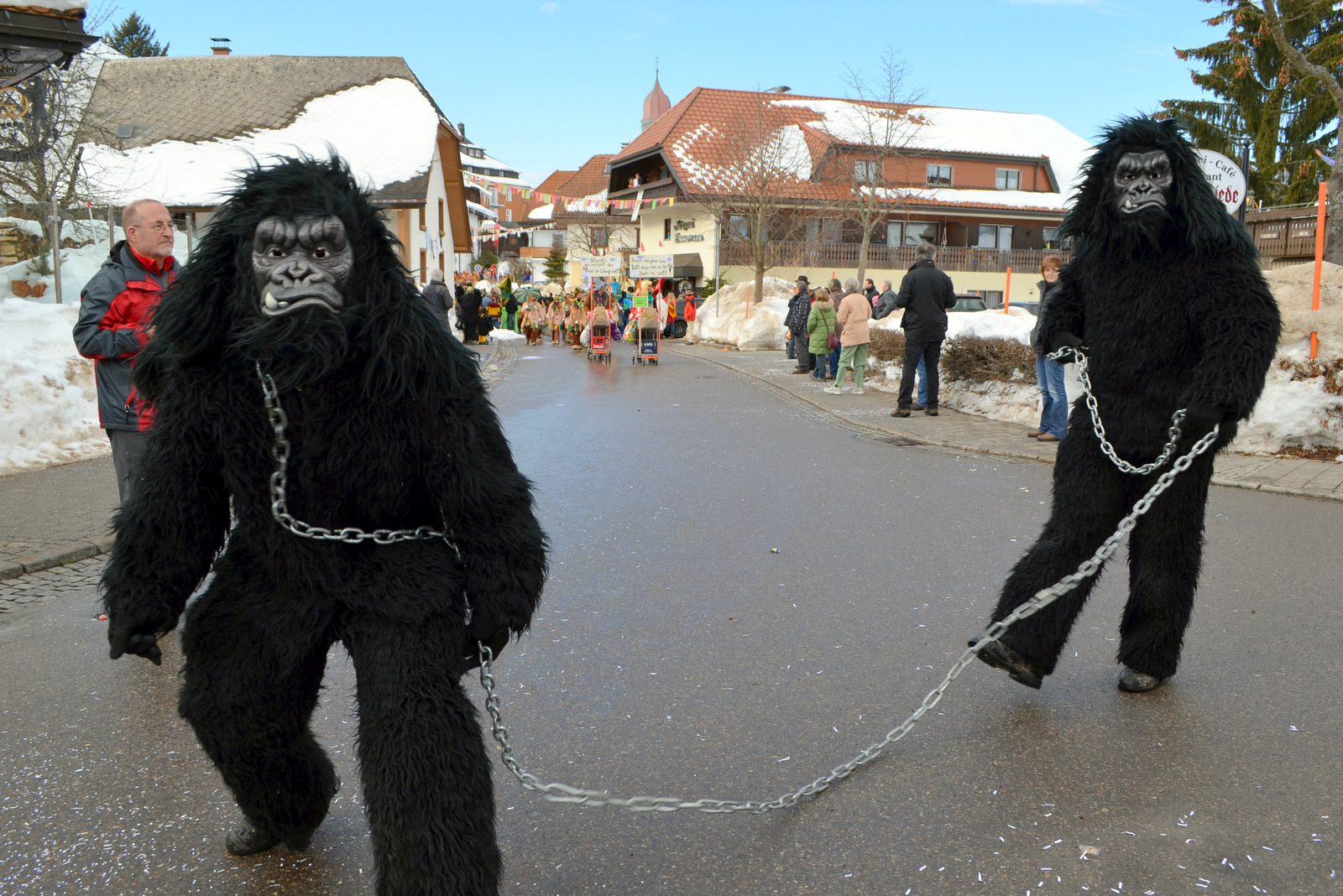 2015_umzug_teil_1_14_20150215_1769836036