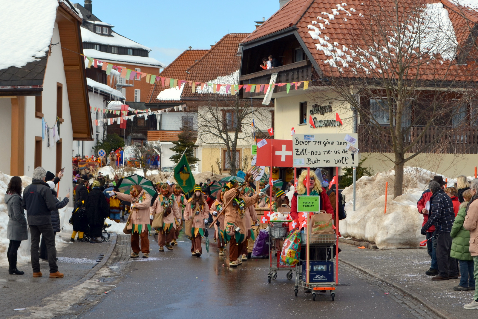 2015_umzug_teil_1_15_20150215_1989866115
