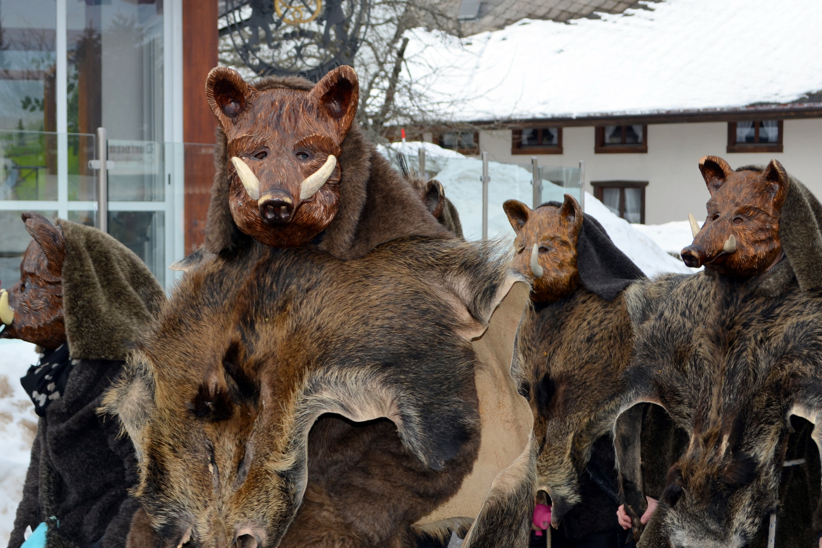 2015_umzug_teil_1_4_20150215_1163110544
