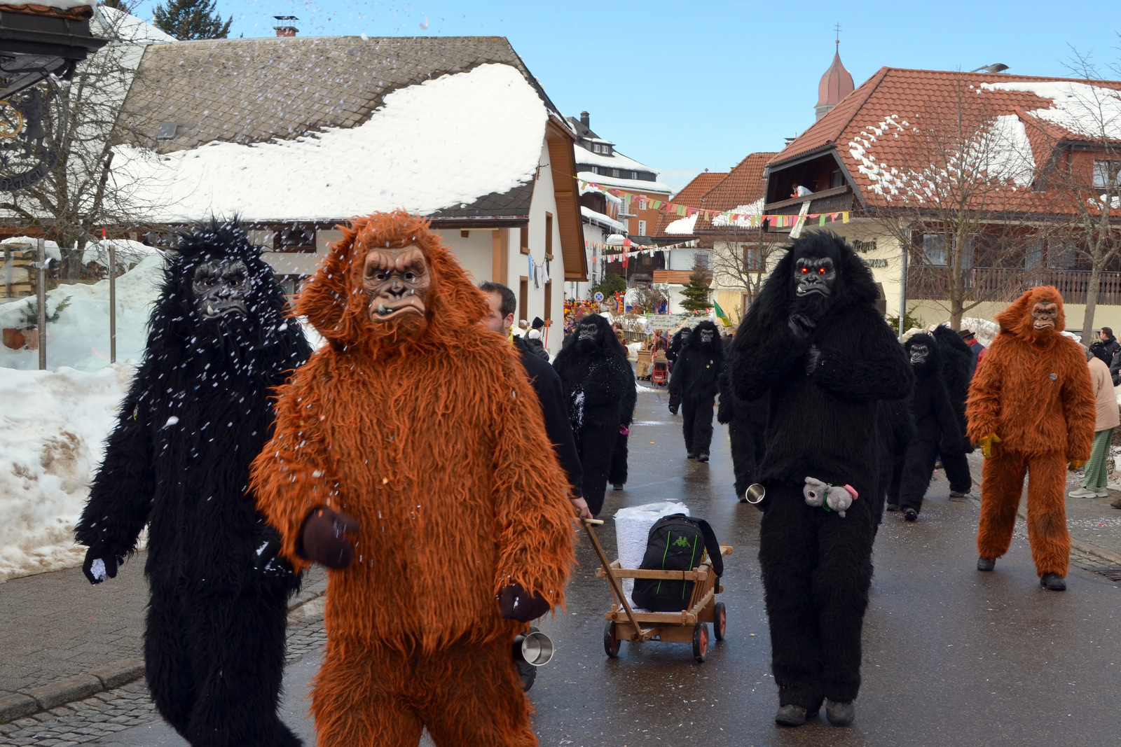 2015_umzug_teil_1_9_20150215_1307839444