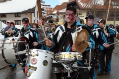 2015_umzug_teil_1_15_20150215_1178456472