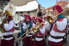 2015_umzug_teil_1_18_20150215_2010678933