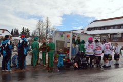 2015_umzug_teil_1_1_20150215_1818464461