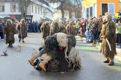 2015_umzug_teil_2_10_20150217_1854211795