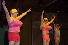 2015_zunftabend_6_20150209_1477477080