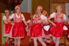 2015_zunftabend_9_20150209_1040944628