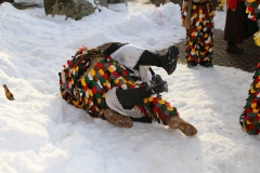 2016_umzug_hoechenschwand_10_20160208_1780379536
