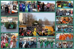 2016_umzug_1_20160207_1265146806