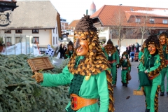 2016_umzug_hoechenschwand_1_20160208_2046053648