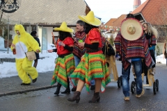 2016_umzug_hoechenschwand_2_20160208_1809001646