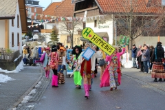 2016_umzug_hoechenschwand_3_20160208_1084314023